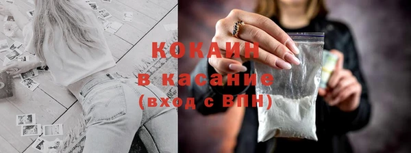 шишки Армянск