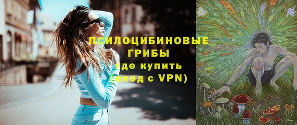 шишки Армянск