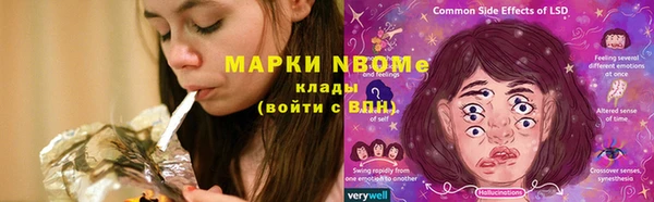 круглые Аркадак
