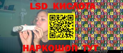 стафф Бердск