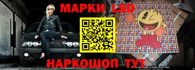 стафф Бердск