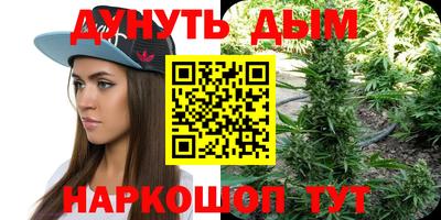 стафф Бердск