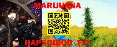 стафф Бердск
