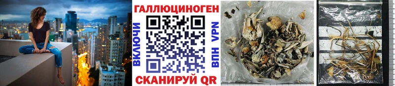 Псилоцибиновые грибы Psilocybine cubensis Баксан