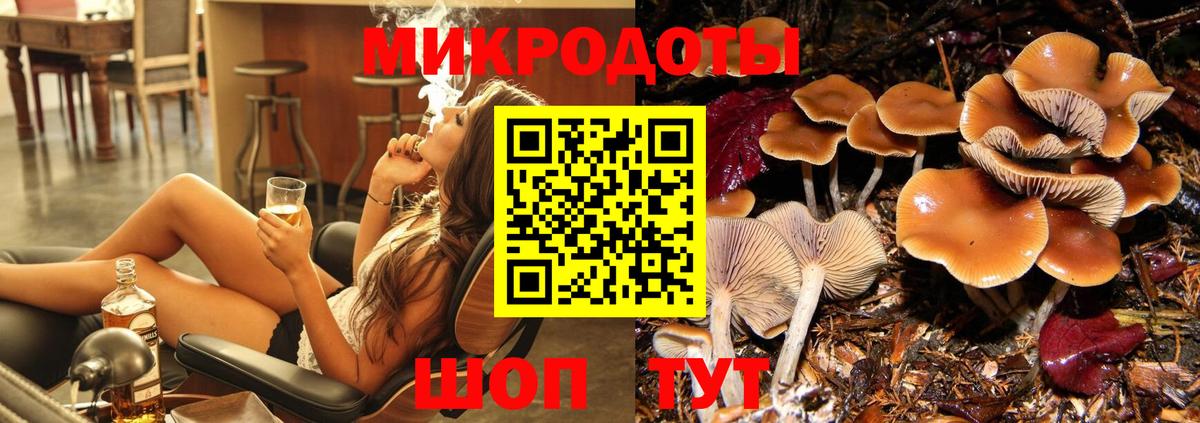 Галлюциногенные грибы Cubensis Баксан